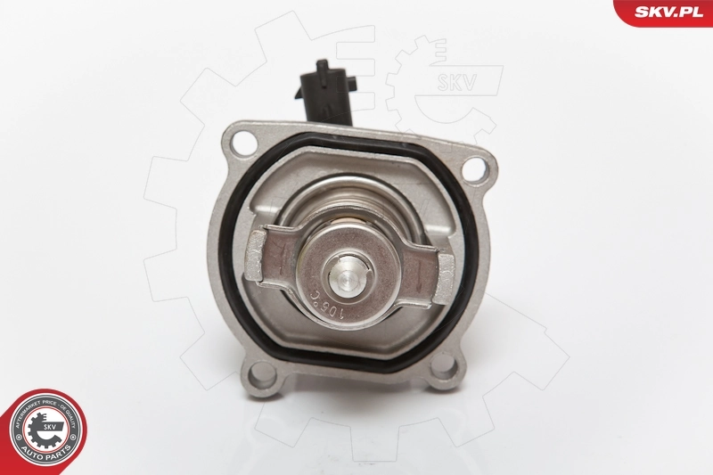 Thermostat, coolant